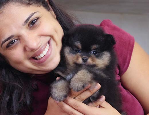 O lulu da pomerânia se dá bem com qualquer animal